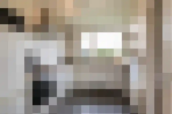 Vriezenveenseweg 60 c Wierden thumbnail 12