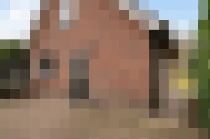 Vriezenveenseweg 60 c Wierden thumbnail 23