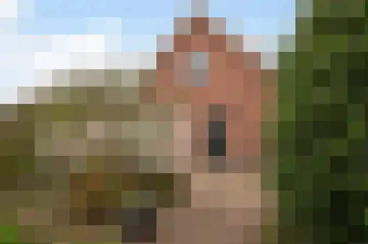 Vriezenveenseweg 60 c Wierden thumbnail 33