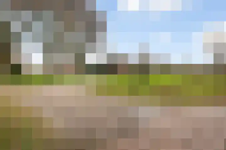 Vriezenveenseweg 60 c Wierden thumbnail 36