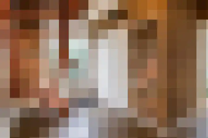 Vriezenveenseweg 60 c Wierden thumbnail 8
