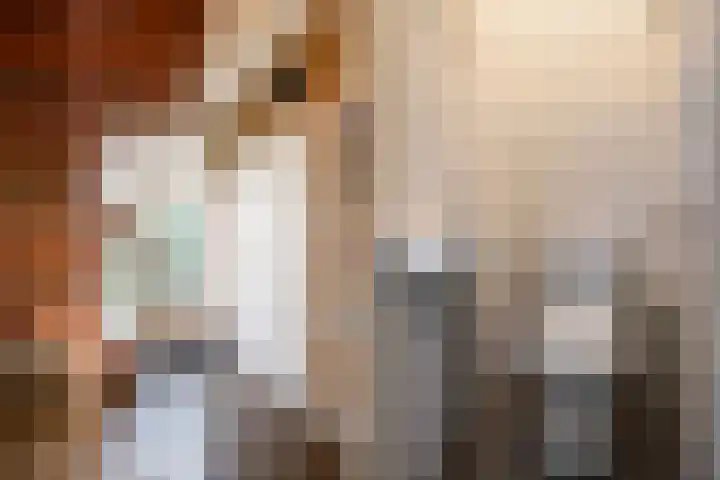 Vriezenveenseweg 60 c Wierden thumbnail 9