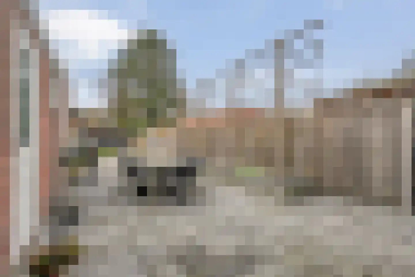 Vriezenveenseweg 68 Almelo thumbnail 25