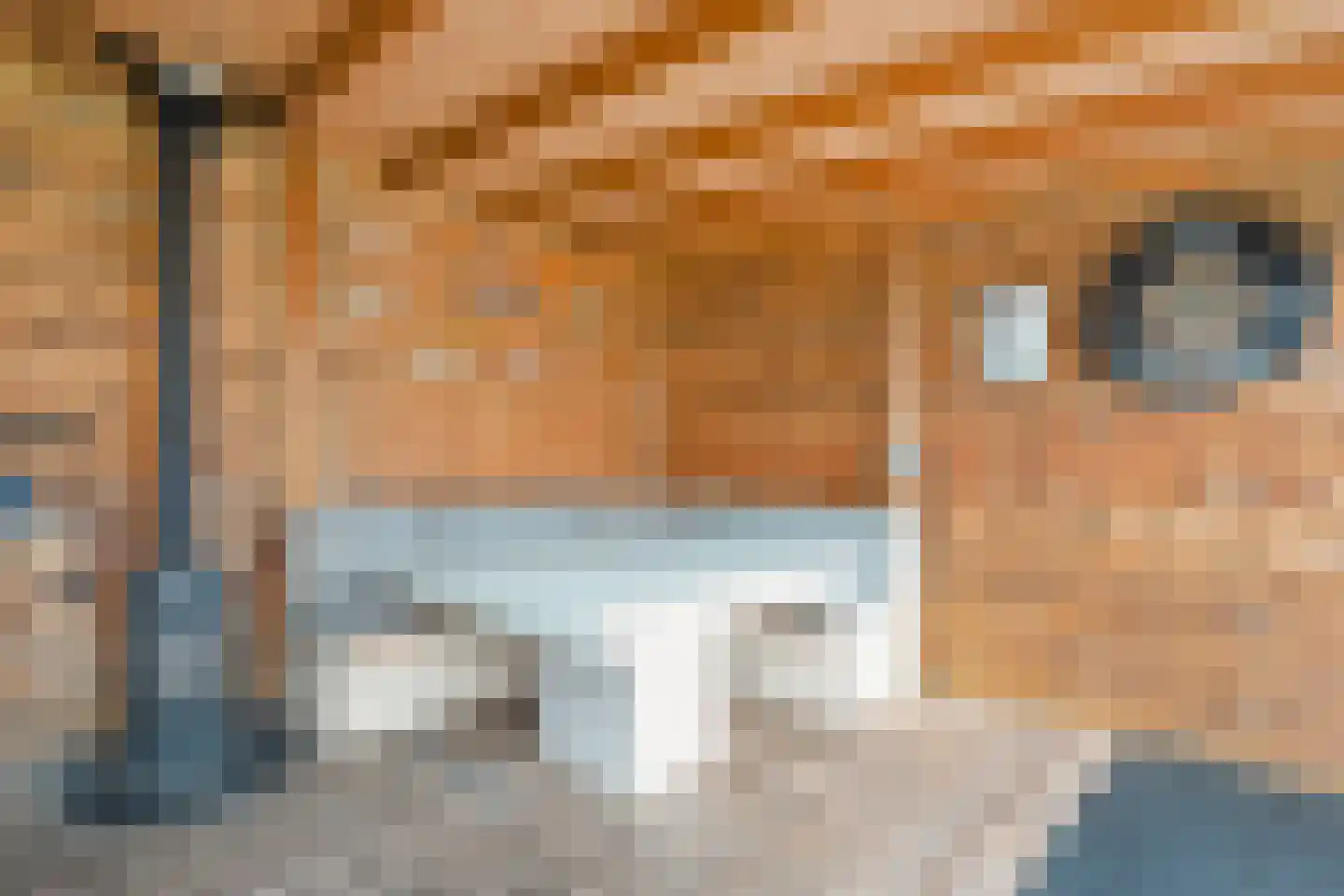 Vriezenveenseweg 68 Almelo thumbnail 32