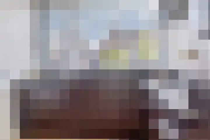 Vriezenveenstraat 28 Tilburg thumbnail 14