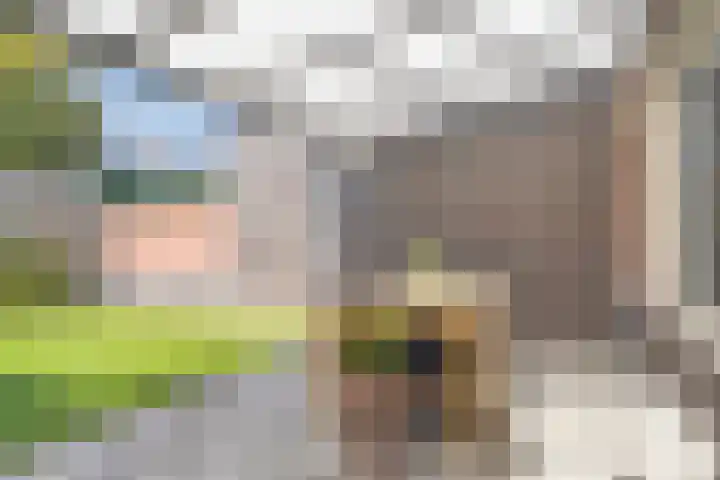 Vriezenveenstraat 28 Tilburg thumbnail 27