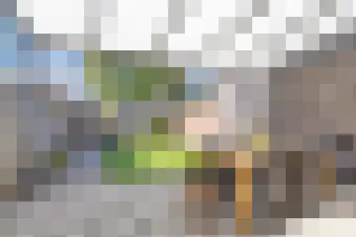 Vriezenveenstraat 28 Tilburg thumbnail 4