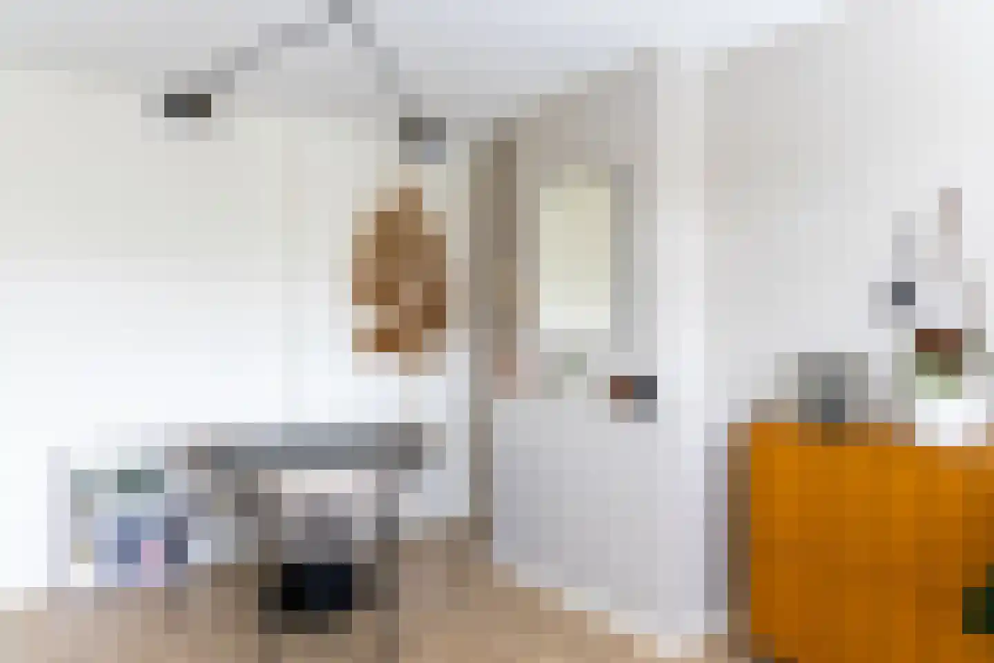 Vriezenveenstraat 33 Den Haag thumbnail 15