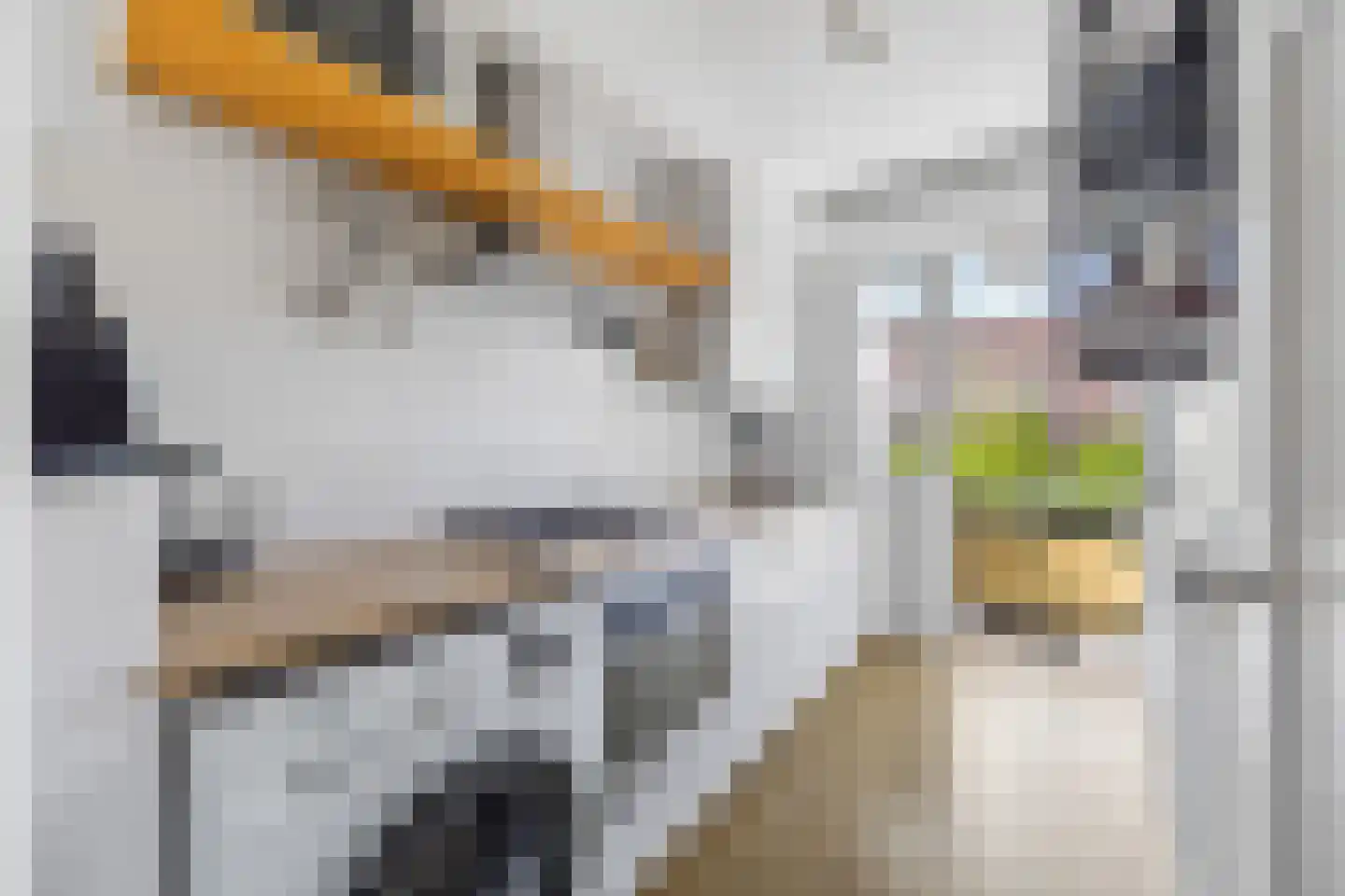 Vriezenveenstraat 45 Den Haag thumbnail 21