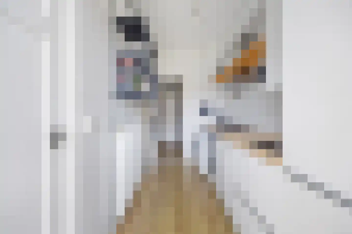 Vriezenveenstraat 45 Den Haag thumbnail 22