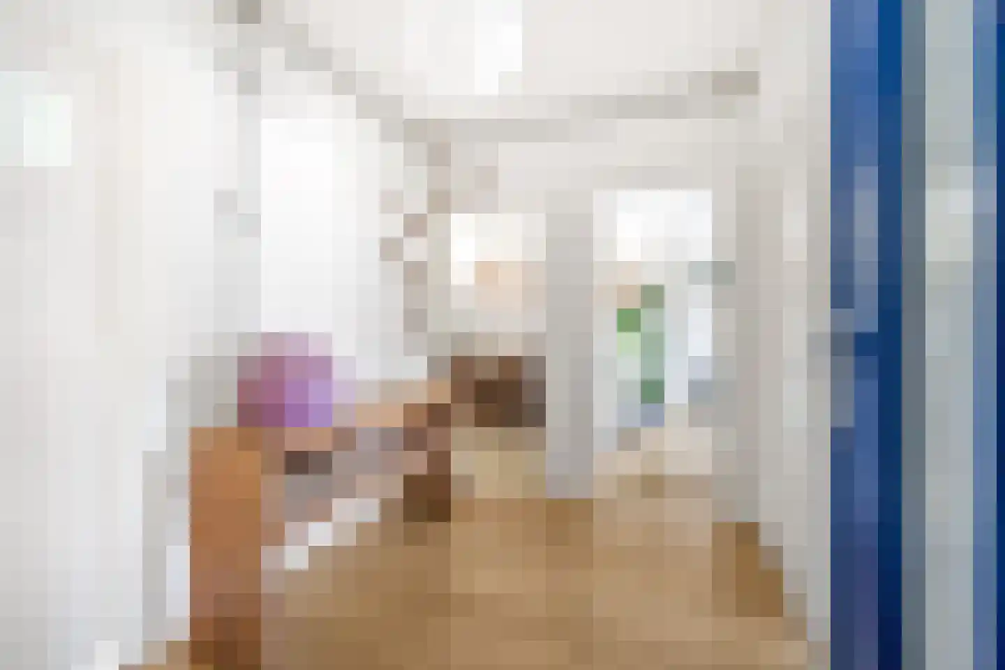 Vriezenveenstraat 45 Den Haag thumbnail 8