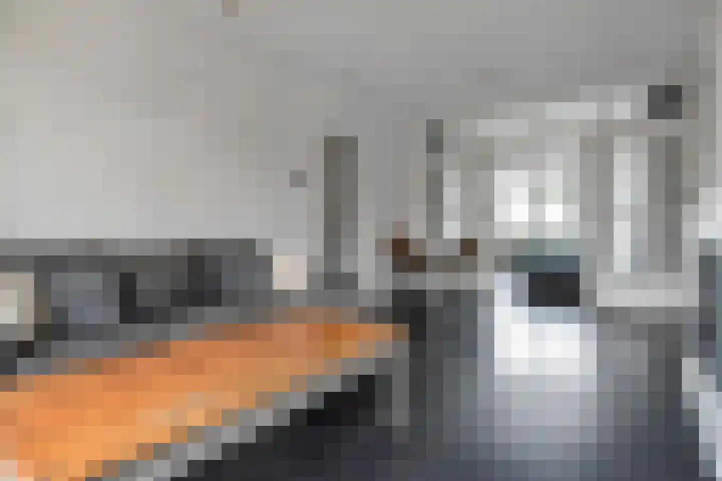 Vriezenveenstraat 5 Den Haag thumbnail 5