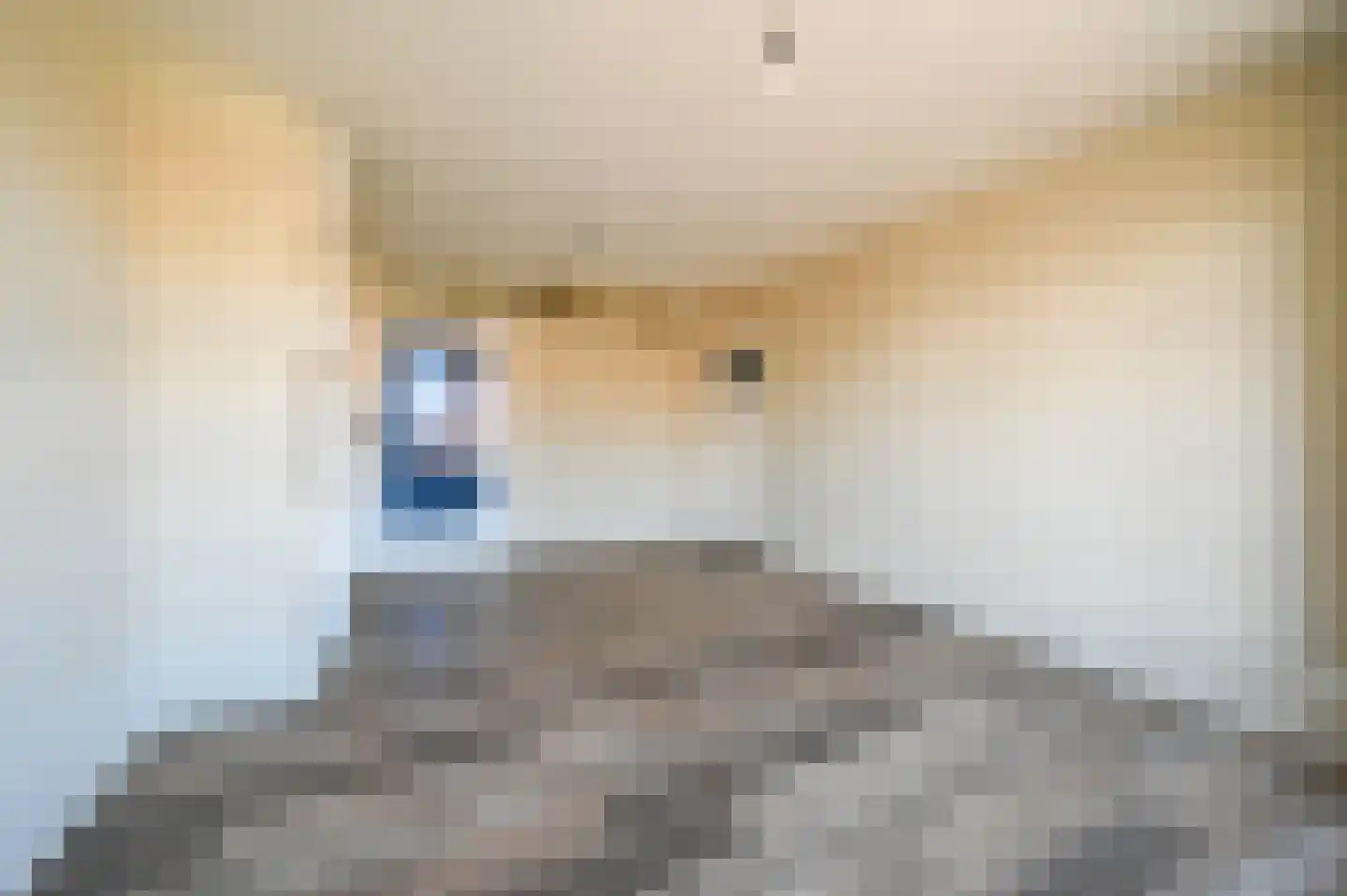 Vriezenveenstraat 55 Den Haag thumbnail 8