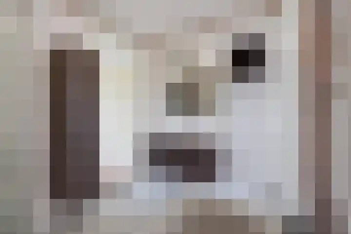 Vriezenveenstraat 74 Den Haag thumbnail 45