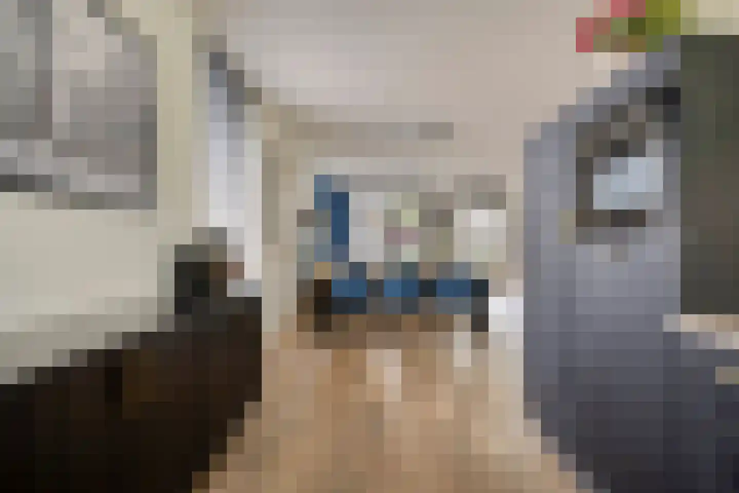 Vriezenveenstraat 77 Tilburg thumbnail 14
