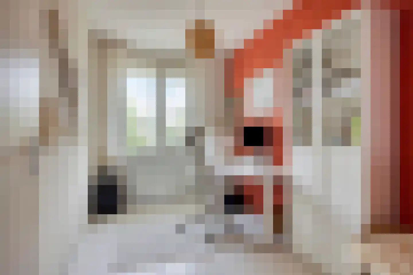 Vriezenveenstraat 77 Tilburg thumbnail 17
