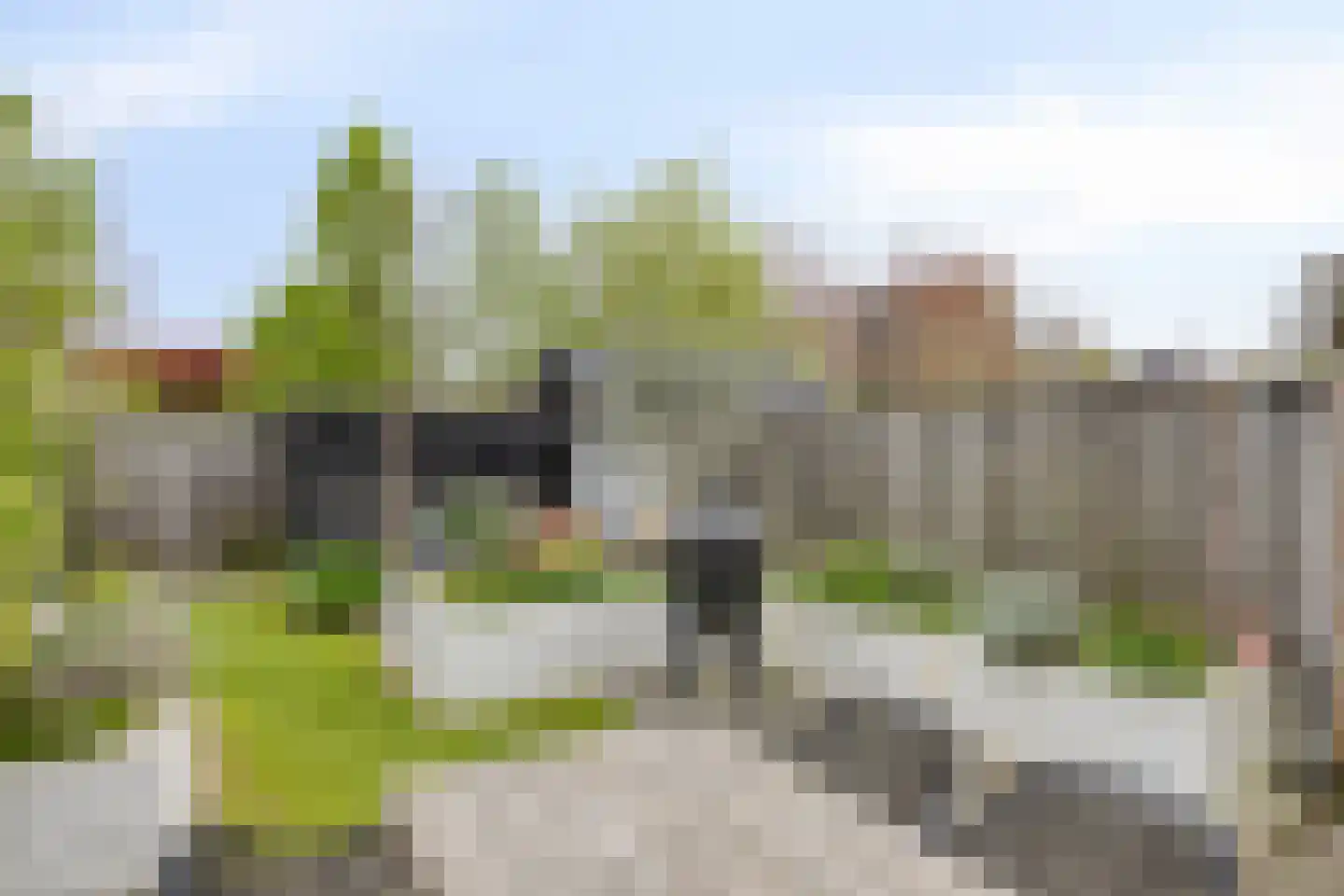 Vriezenveenstraat 77 Tilburg thumbnail 4