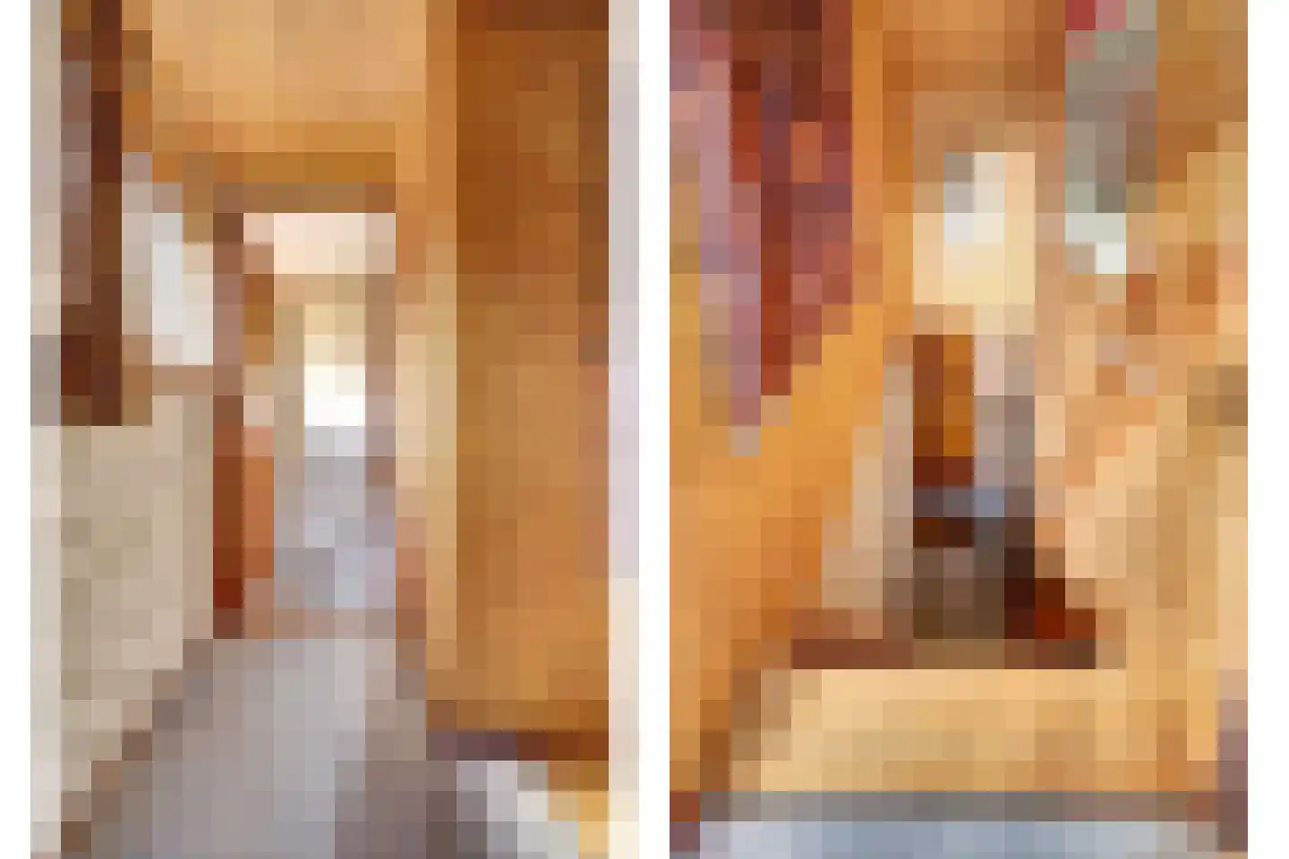 Vriezenweg 2 c Leimuiden thumbnail 36