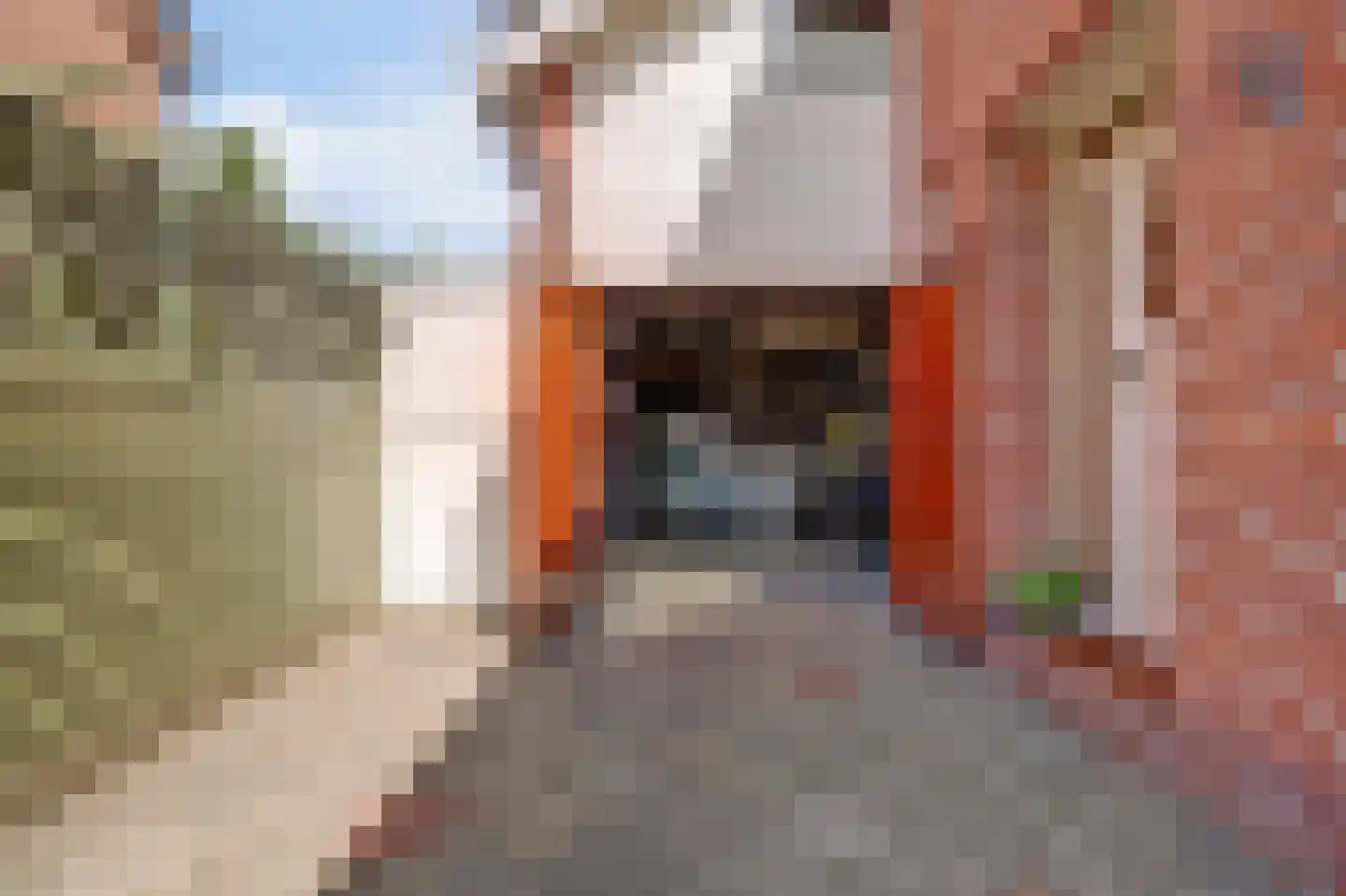 Vriezenweg 2 c Leimuiden thumbnail 41