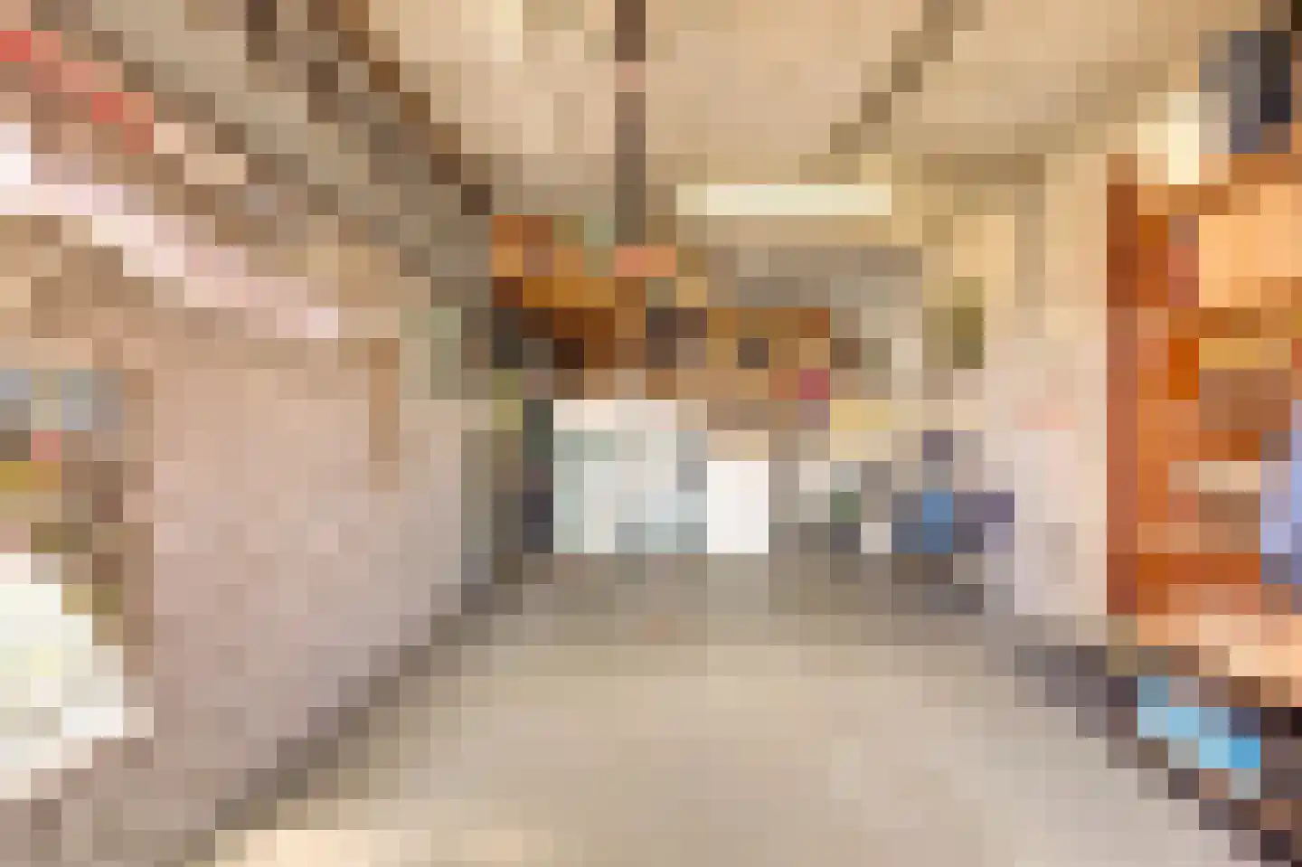 Vriezenweg 2 c Leimuiden thumbnail 42