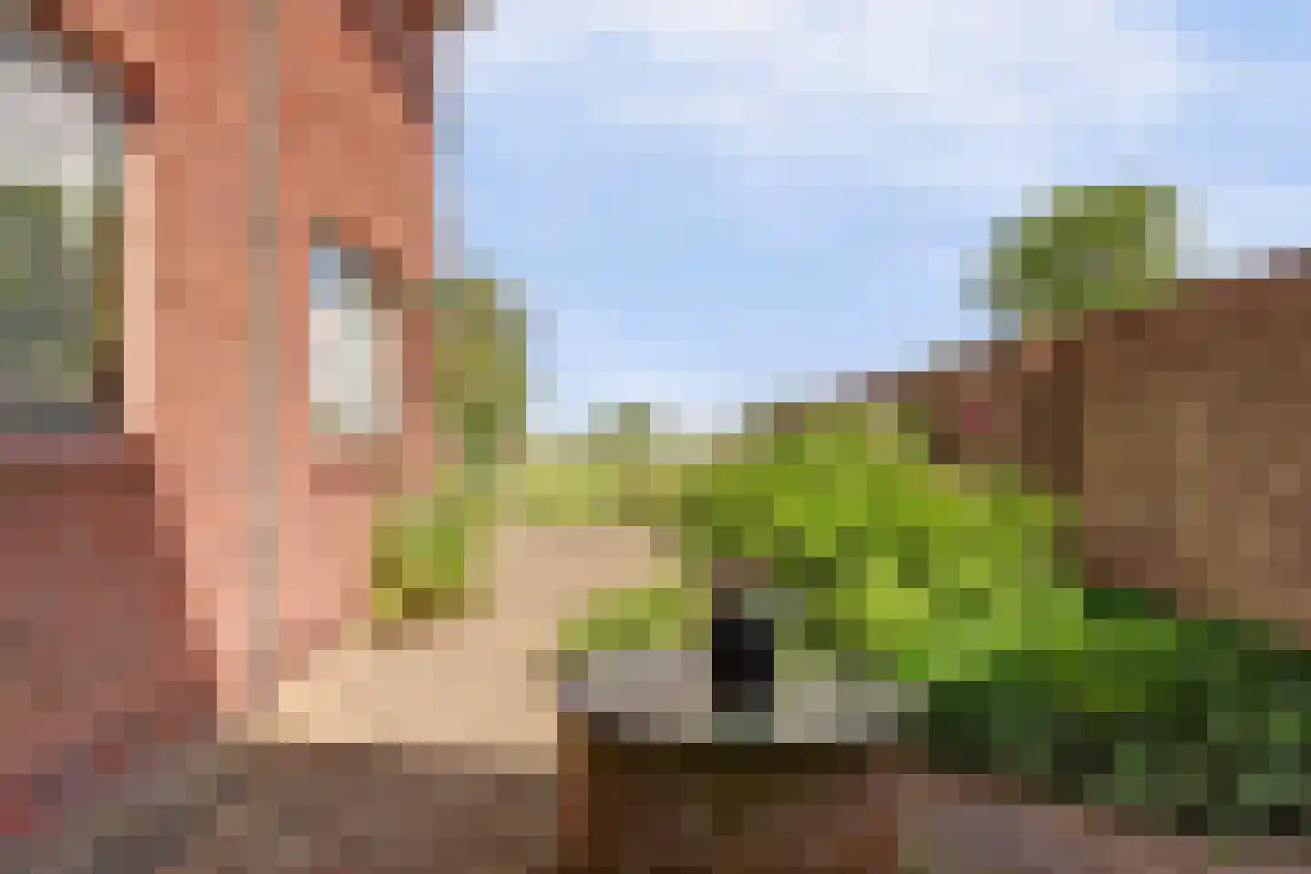 Vriezenweg 2 c Leimuiden thumbnail 44