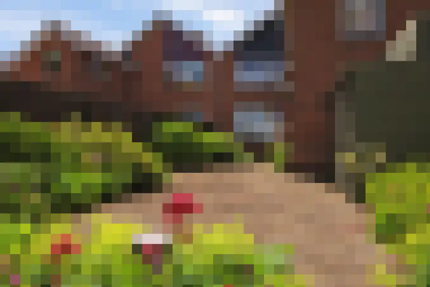 Vriezenweg 2 c Leimuiden thumbnail 47