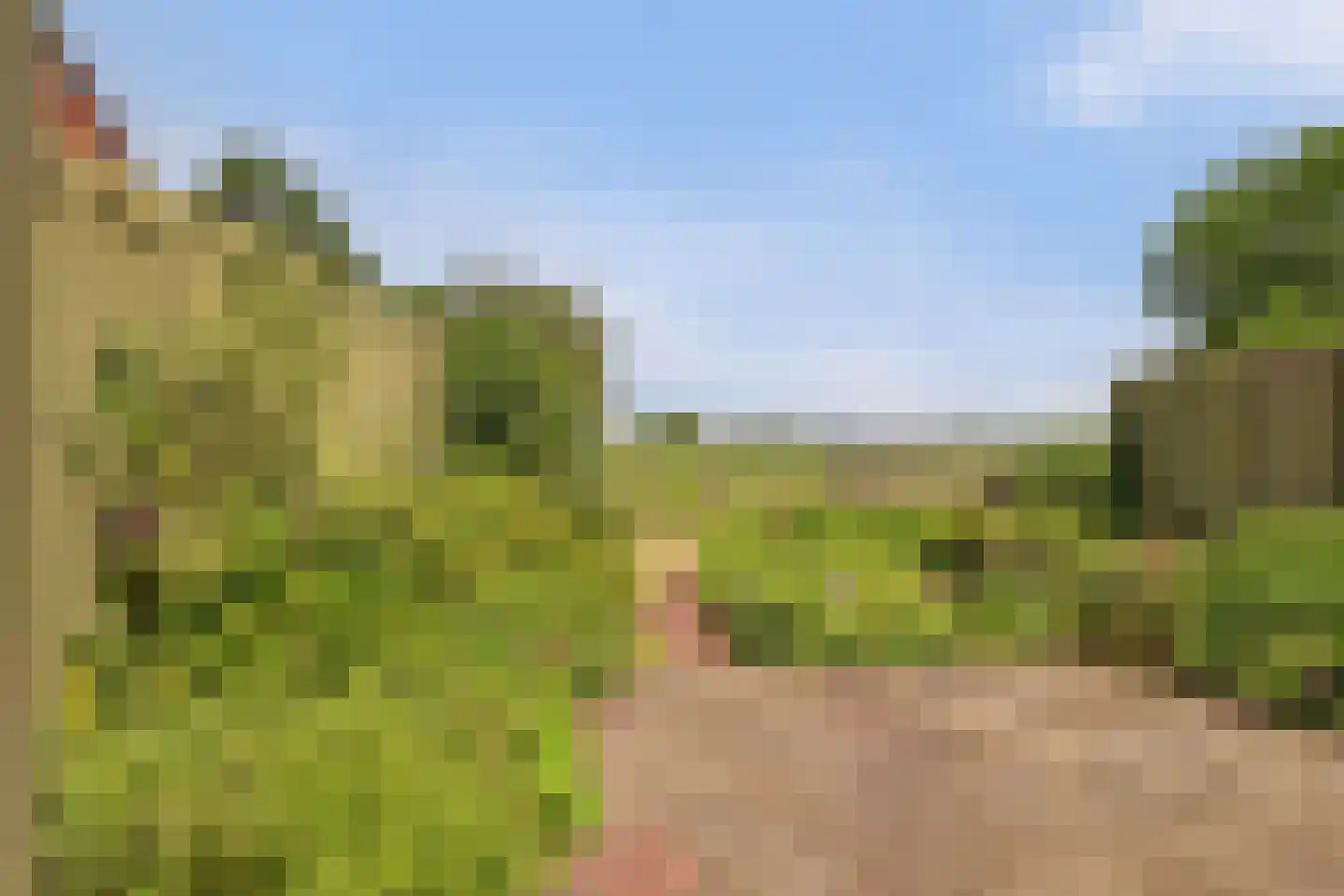 Vriezenweg 2 c Leimuiden thumbnail 48