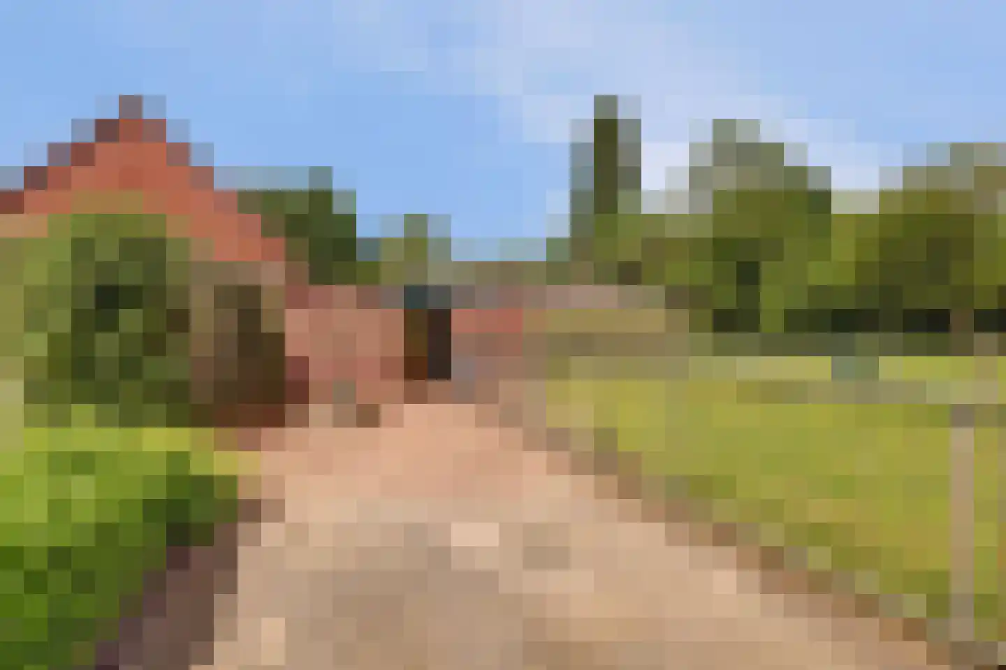 Vriezenweg 2 c Leimuiden thumbnail 49