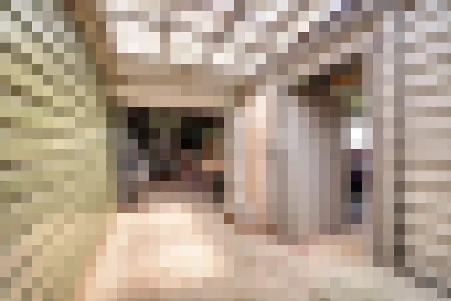 Vriezenweg 2 c Leimuiden thumbnail 52