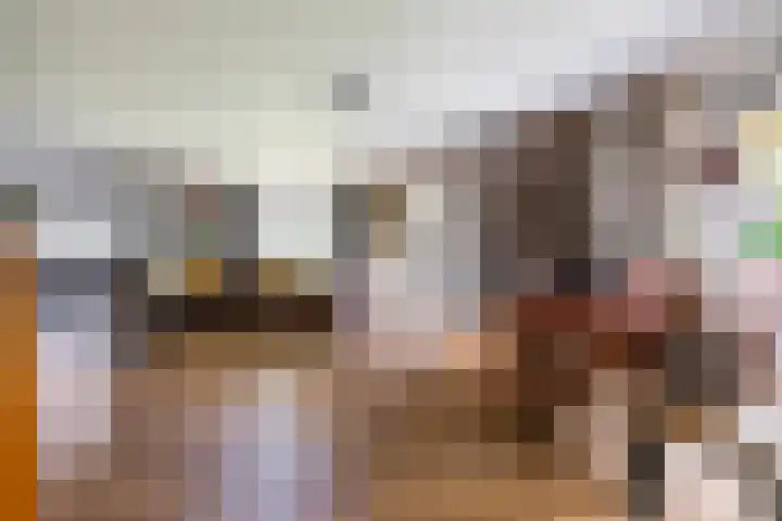 Vriezerweg 15 a Tynaarlo thumbnail 13
