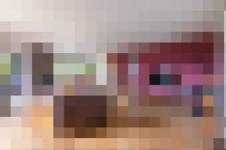 Vriezerweg 15 a Tynaarlo thumbnail 18