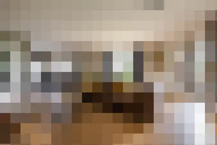 Vriezerweg 15 a Tynaarlo thumbnail 21