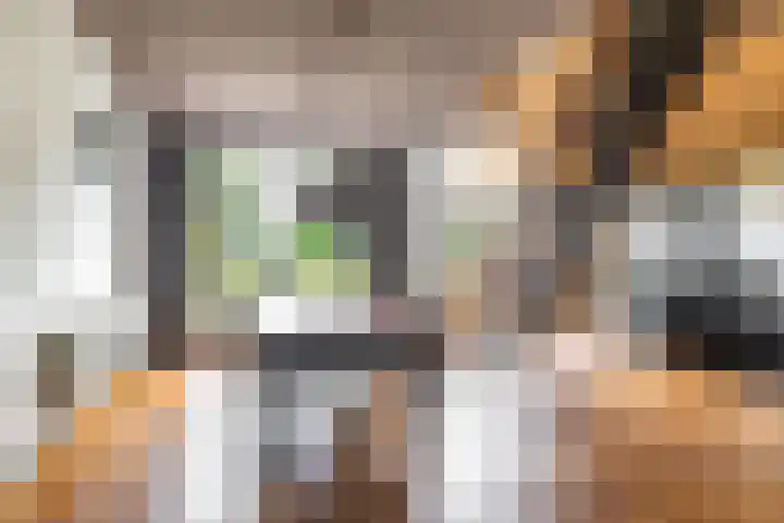 Vriezerweg 15 a Tynaarlo thumbnail 22