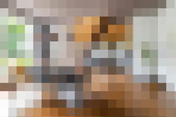 Vriezerweg 15 a Tynaarlo thumbnail 29
