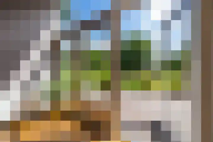 Vriezerweg 15 a Tynaarlo thumbnail 31