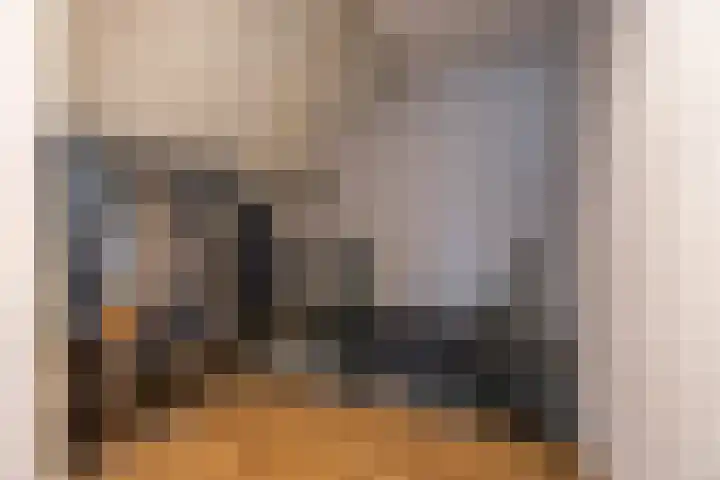 Vriezerweg 15 a Tynaarlo thumbnail 47