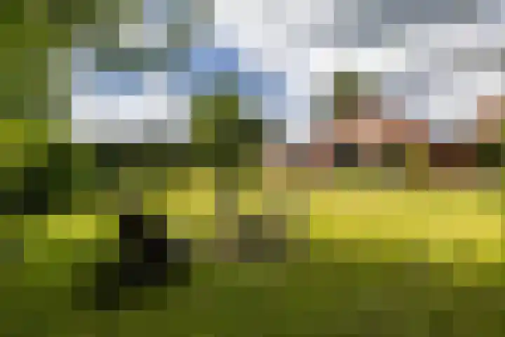 Vriezerweg 15 a Tynaarlo thumbnail 5