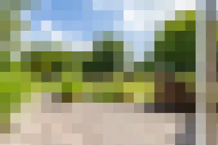 Vriezerweg 15 a Tynaarlo thumbnail 54