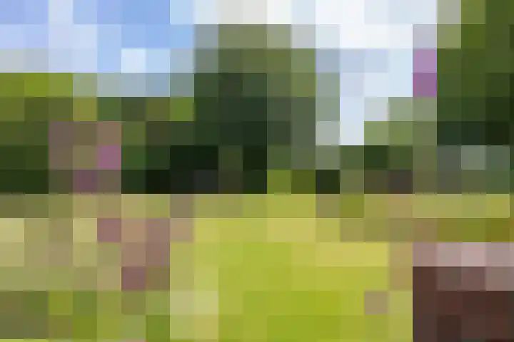Vriezerweg 15 a Tynaarlo thumbnail 55