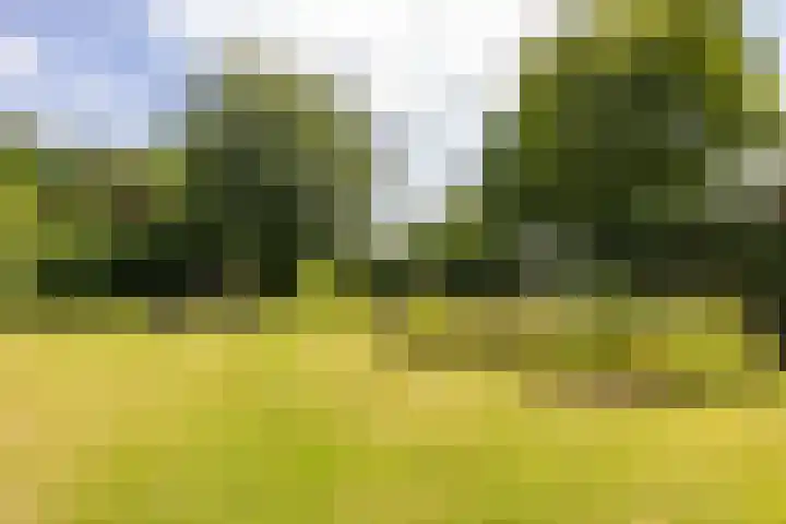 Vriezerweg 15 a Tynaarlo thumbnail 56