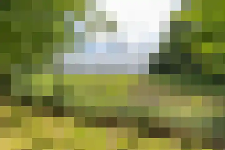 Vriezerweg 15 a Tynaarlo thumbnail 57