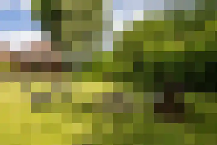 Vriezerweg 15 a Tynaarlo thumbnail 58