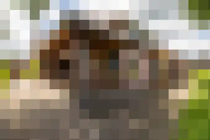 Vriezerweg 15 a Tynaarlo thumbnail 59