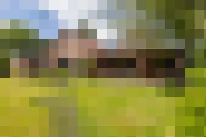 Vriezerweg 15 a Tynaarlo thumbnail 6