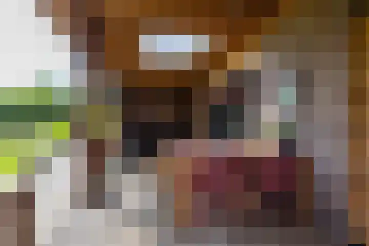 Vriezerweg 15 a Tynaarlo thumbnail 60