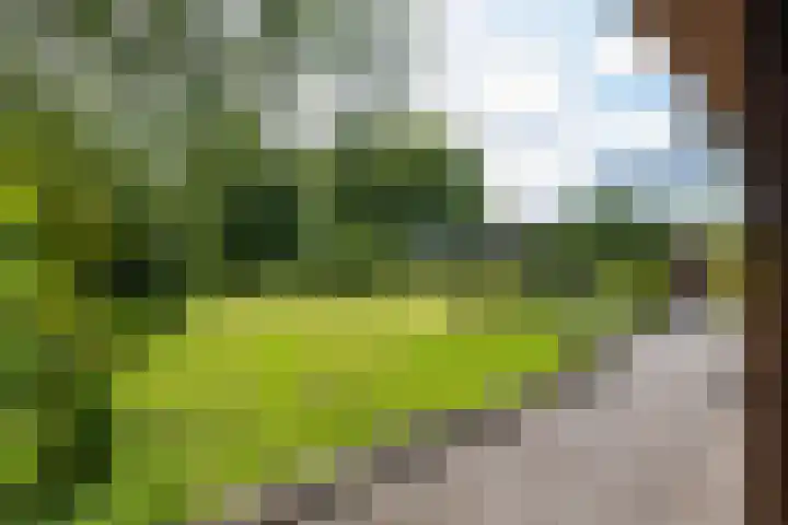 Vriezerweg 15 a Tynaarlo thumbnail 66