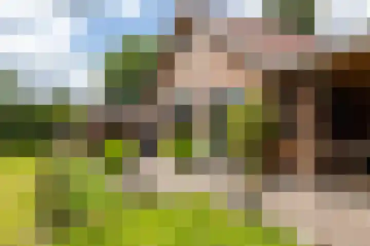 Vriezerweg 15 a Tynaarlo thumbnail 7
