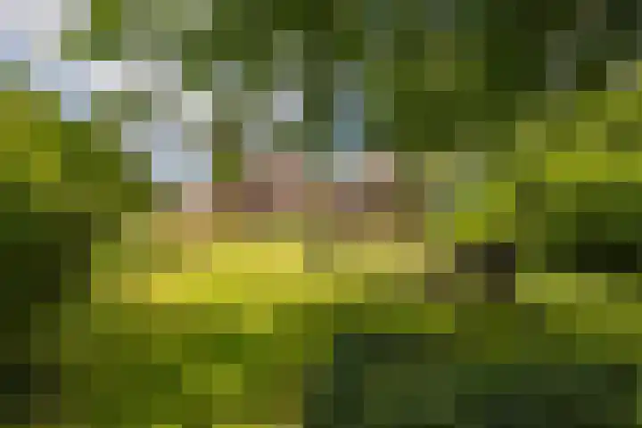 Vriezerweg 15 a Tynaarlo thumbnail 73