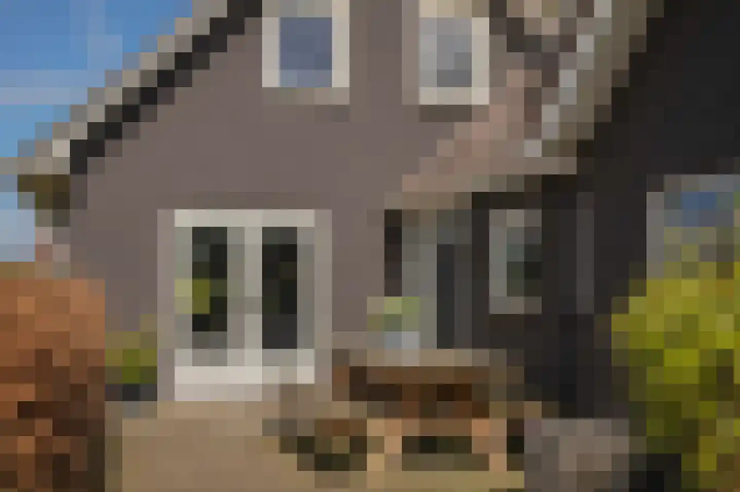 Vriezerweg 19 Tynaarlo thumbnail 11