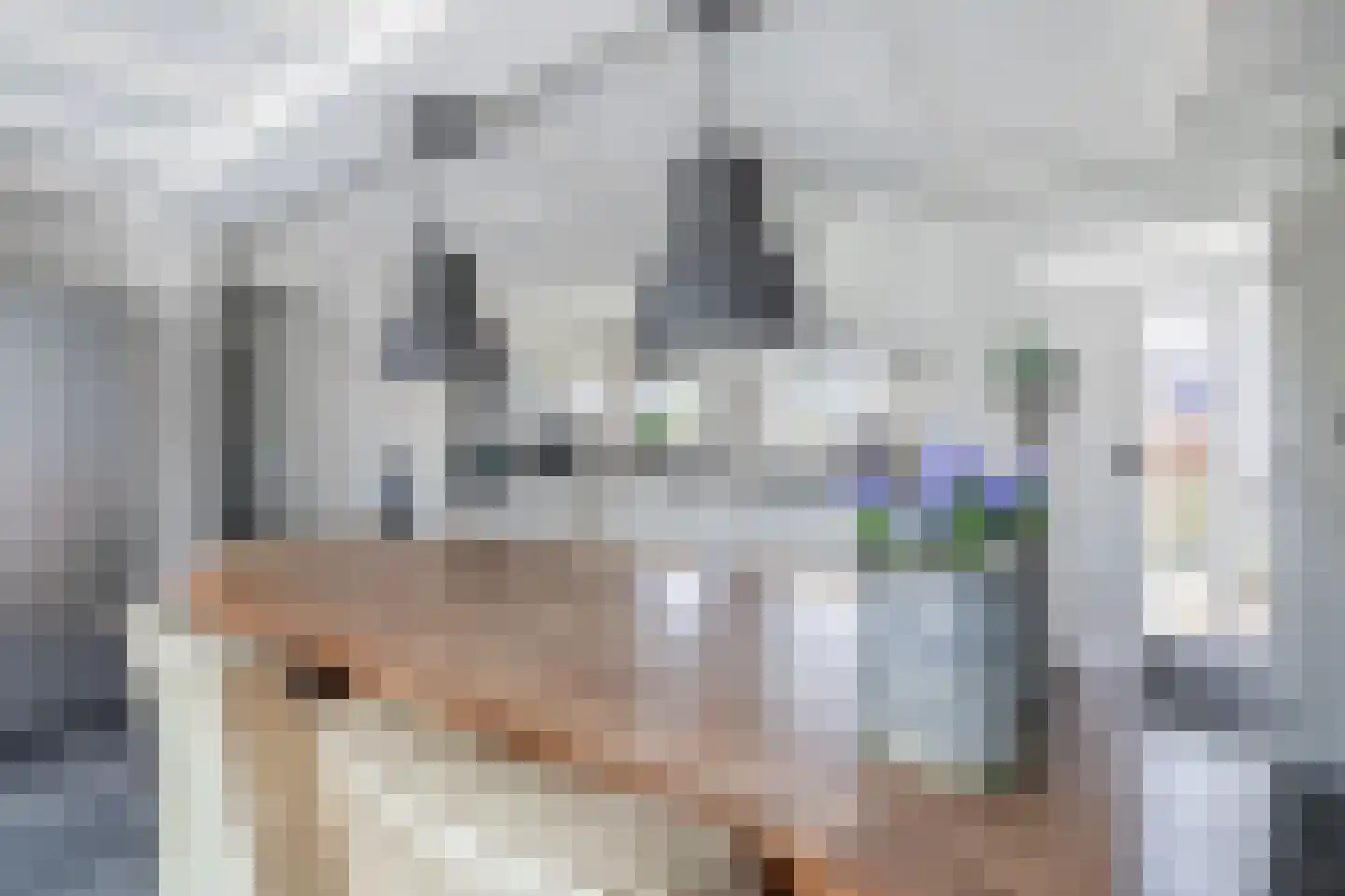 Vriezerweg 19 Tynaarlo thumbnail 16